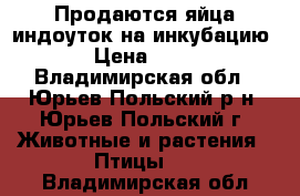 Продаются яйца индоуток на инкубацию › Цена ­ 40 - Владимирская обл., Юрьев-Польский р-н, Юрьев-Польский г. Животные и растения » Птицы   . Владимирская обл.